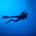 @nextleveldiving.at