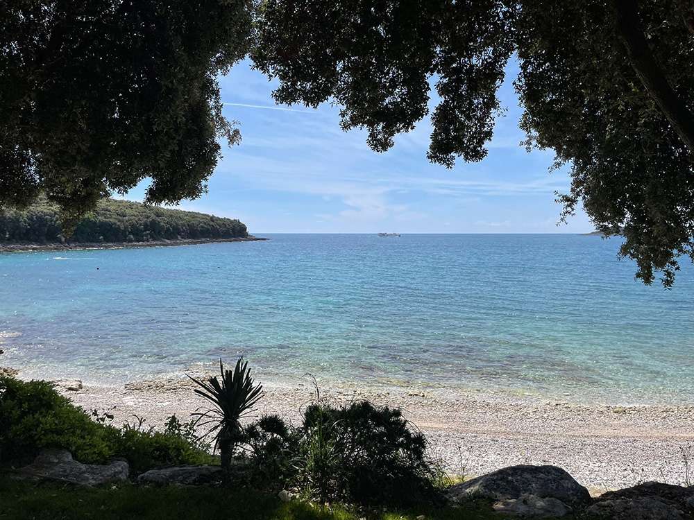 pic2