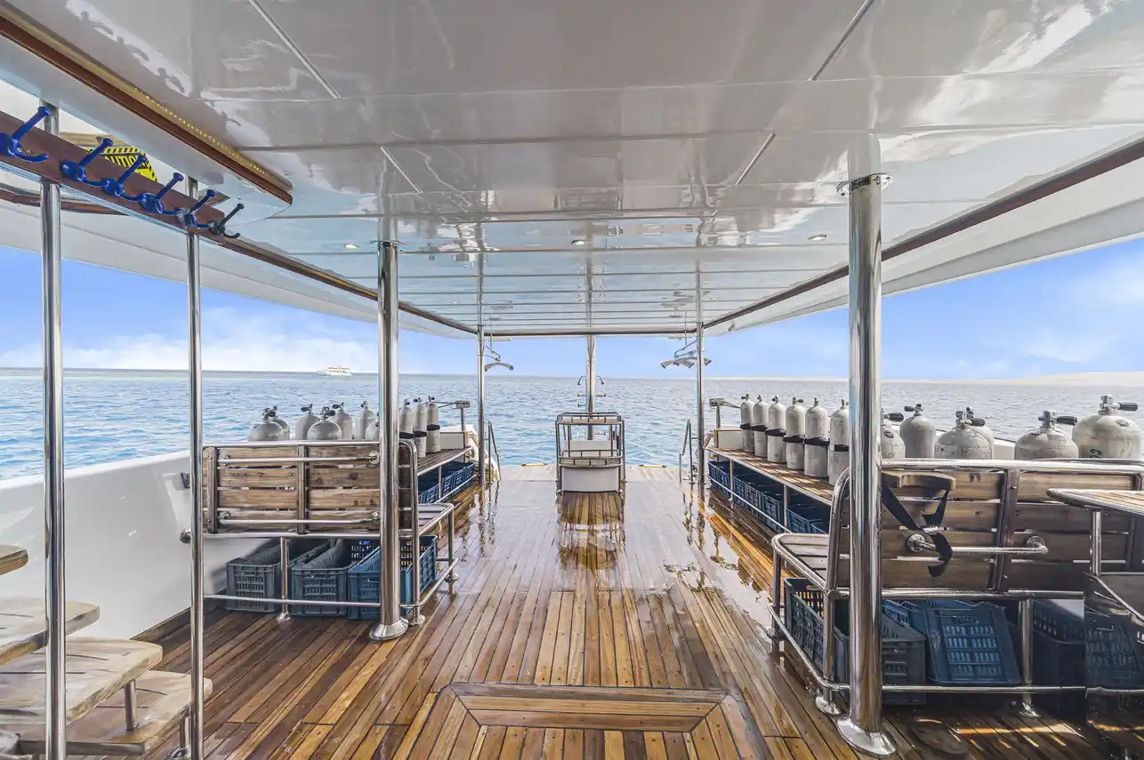 Dive-Deck-1-2024