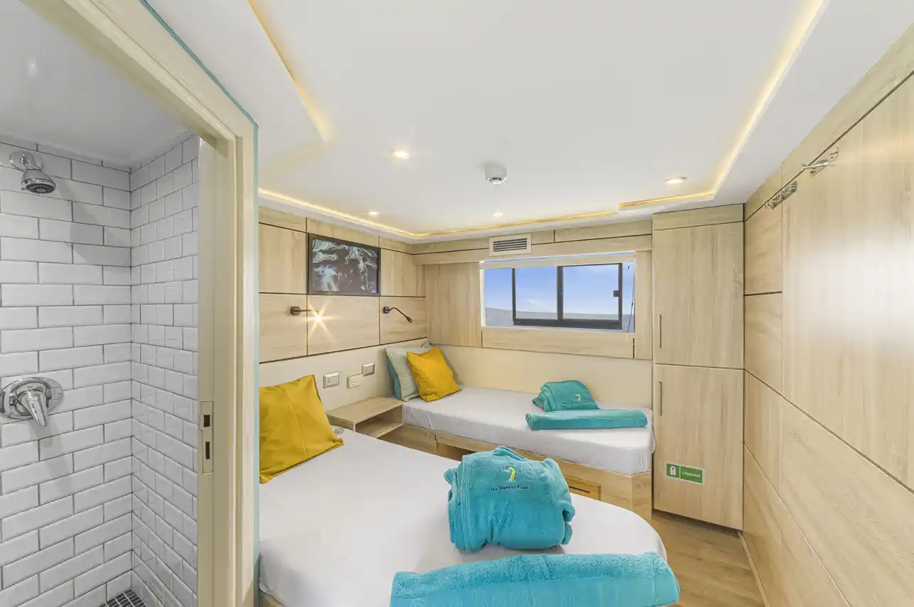 Upper-Deck-Twin-bed-Cabin-2024