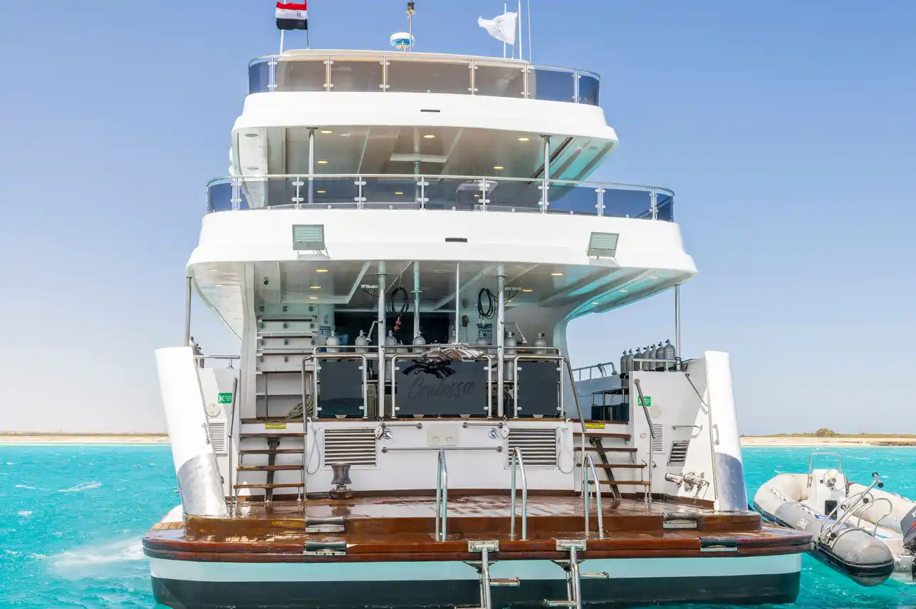 24_Dive Platform